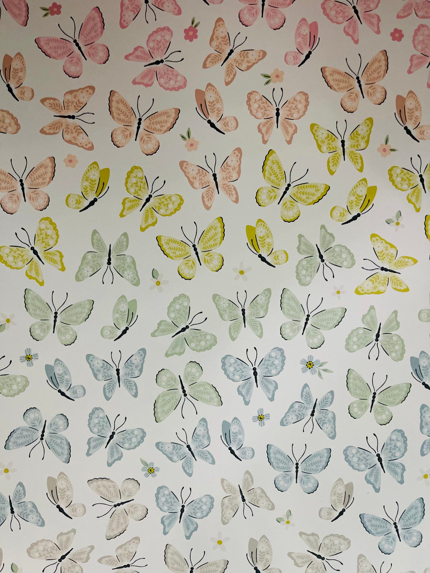 Mariposas 1