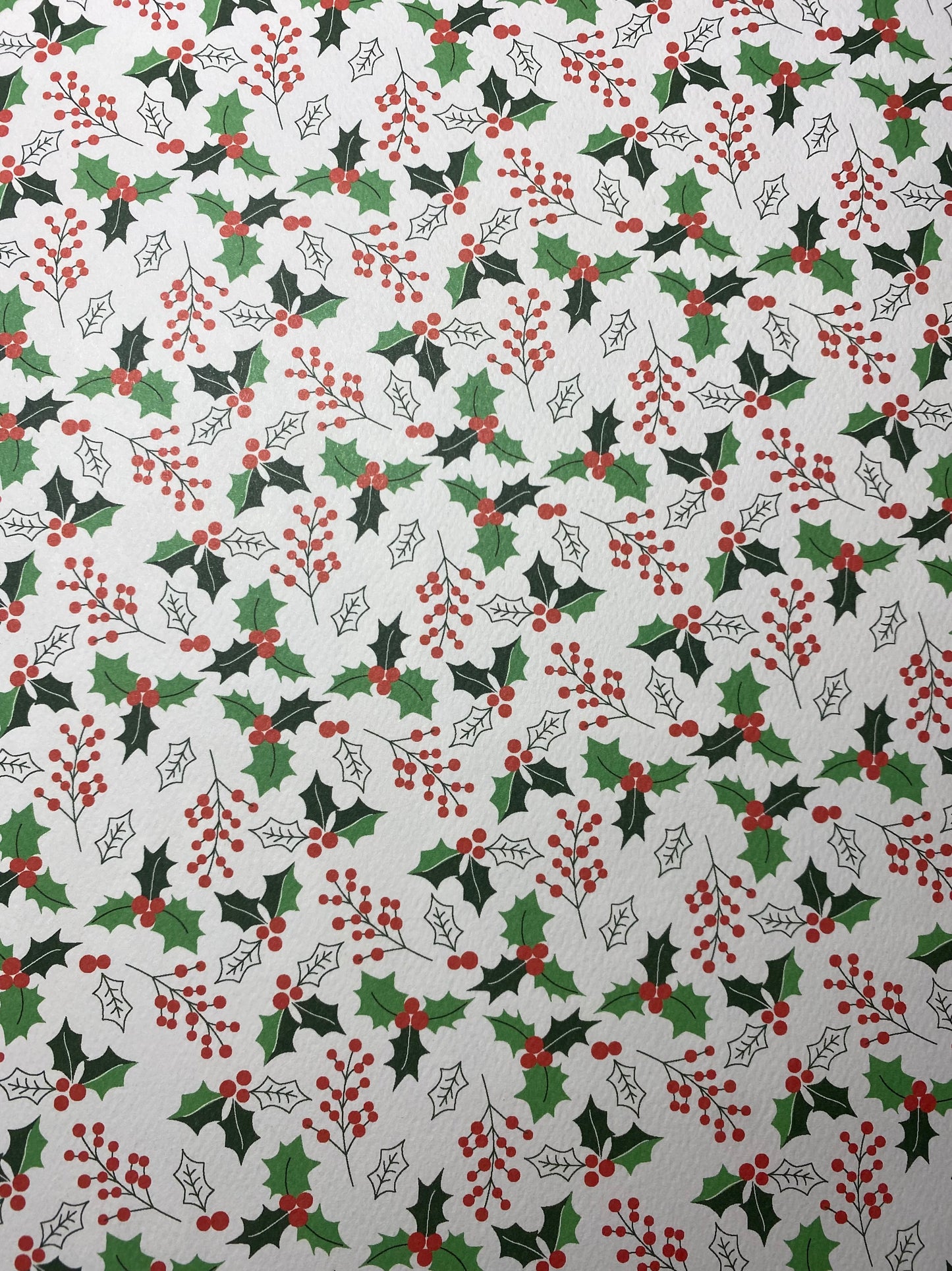 Monthly Book NAVIDEÑO