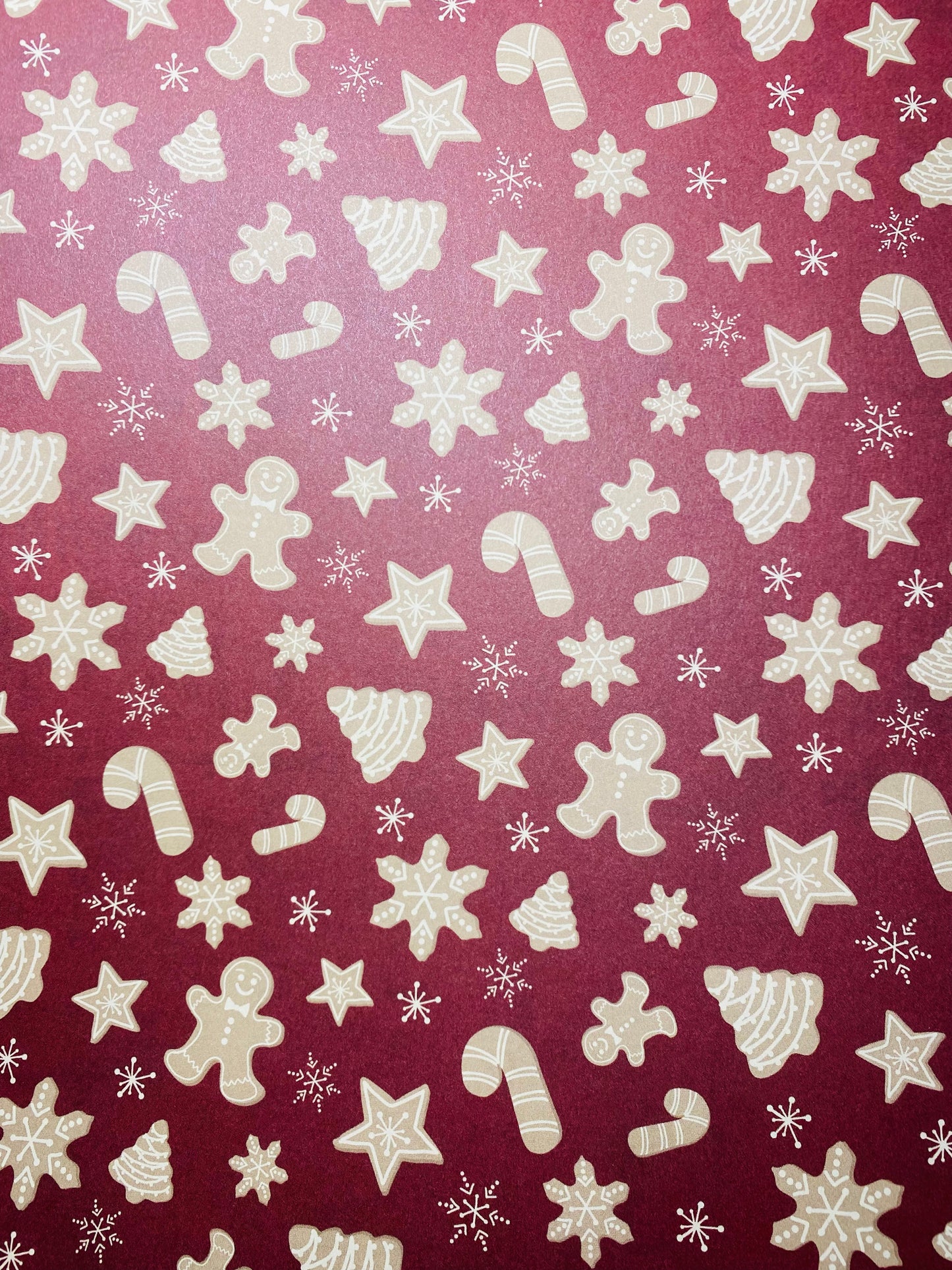 Monthly Book NAVIDEÑO