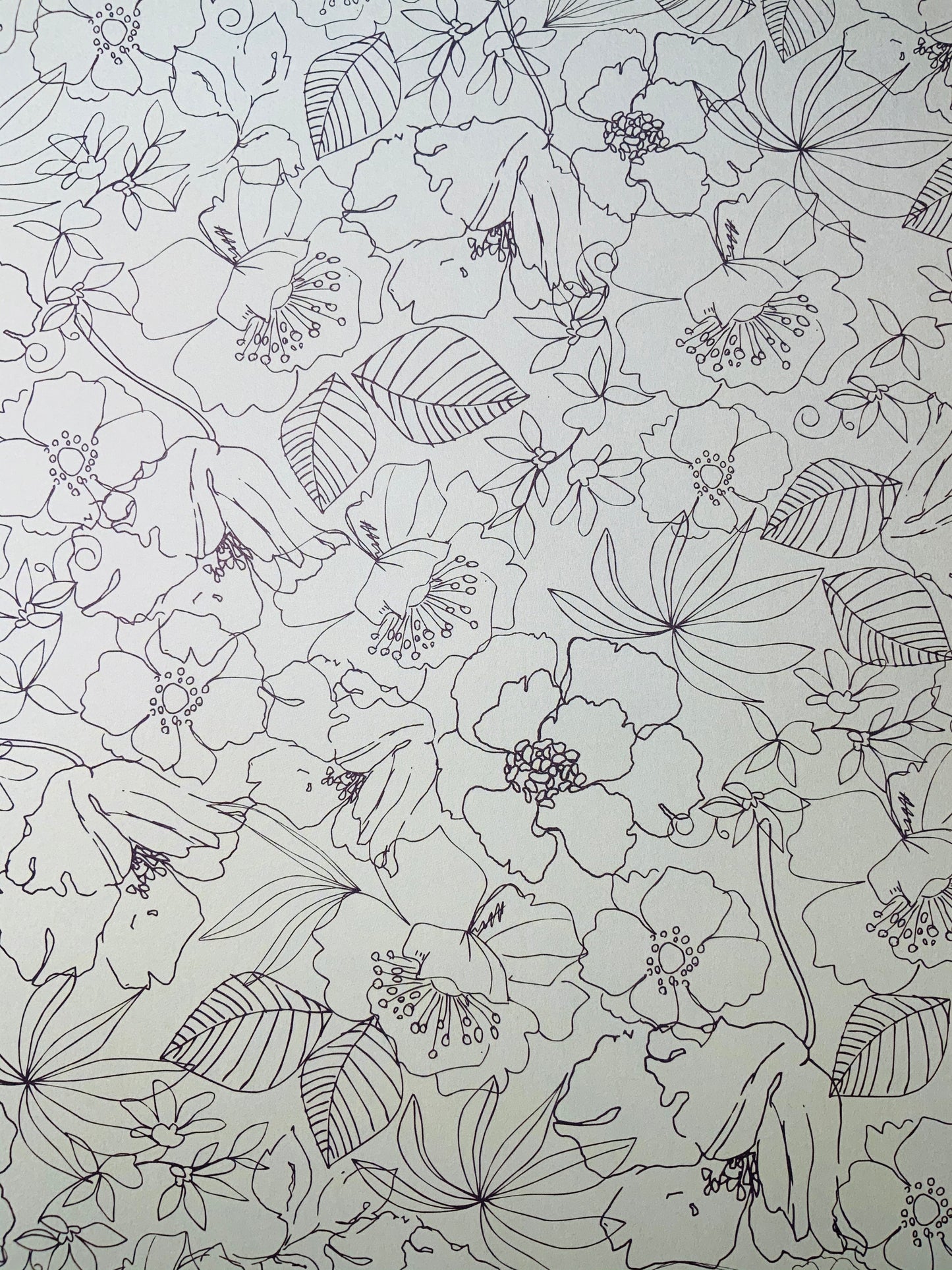 Flores 14