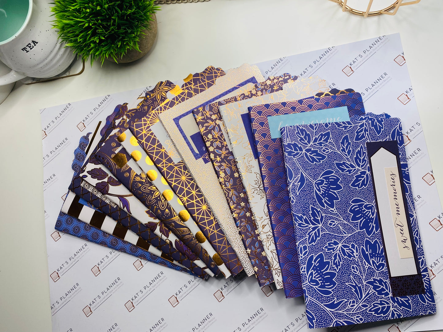 LIBROS Set de 12