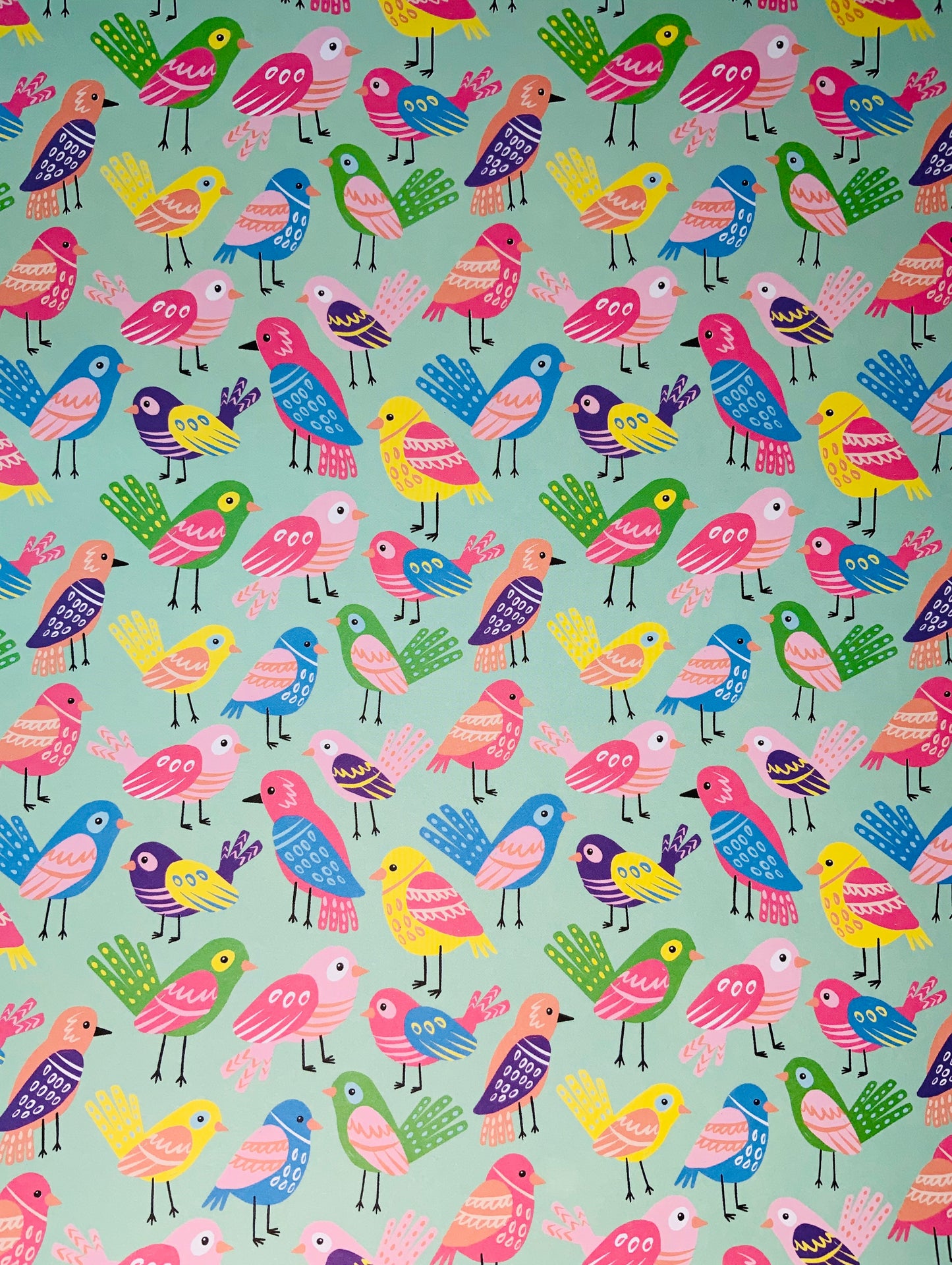 Pájaros 1