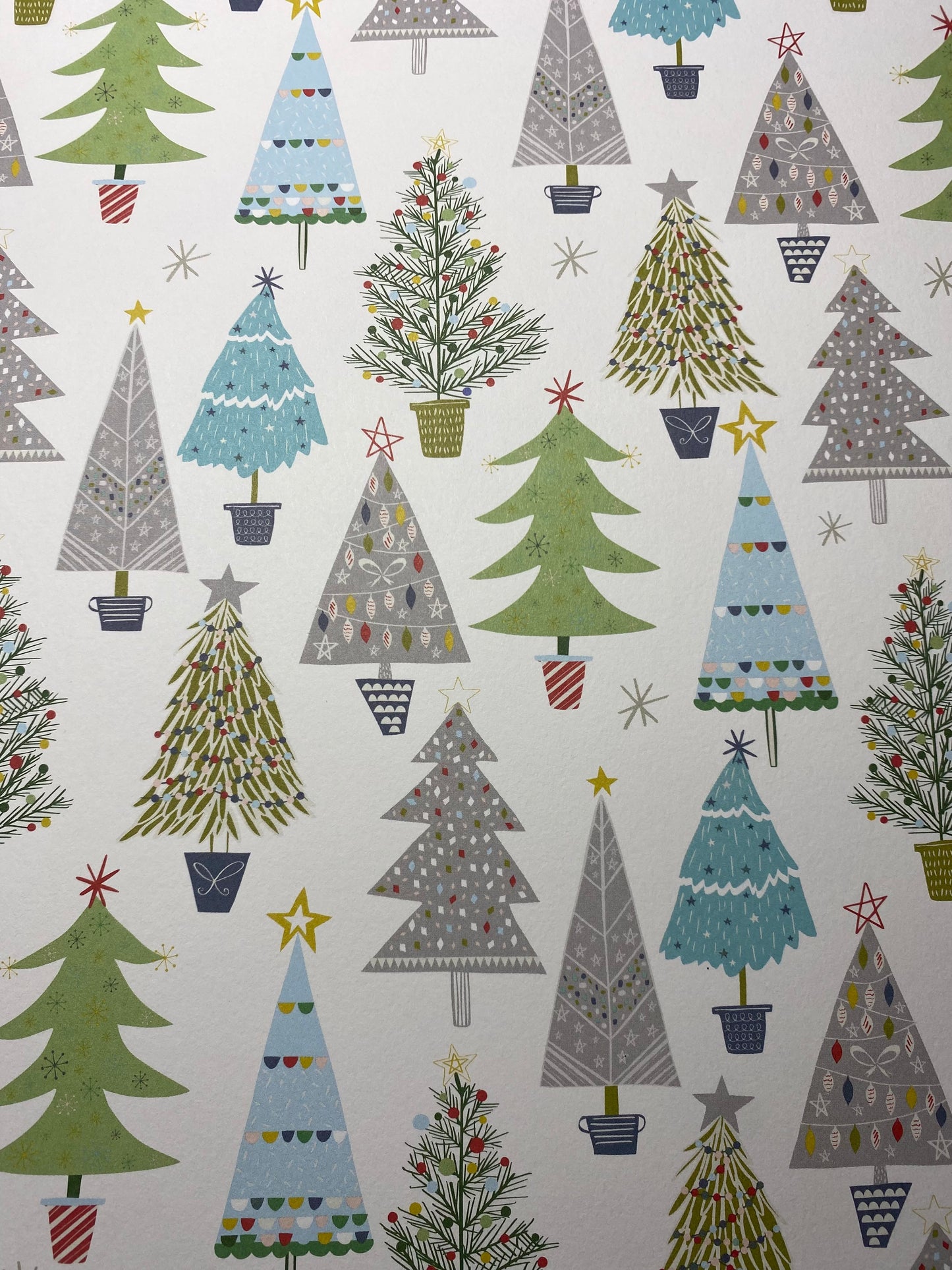Monthly Book NAVIDEÑO