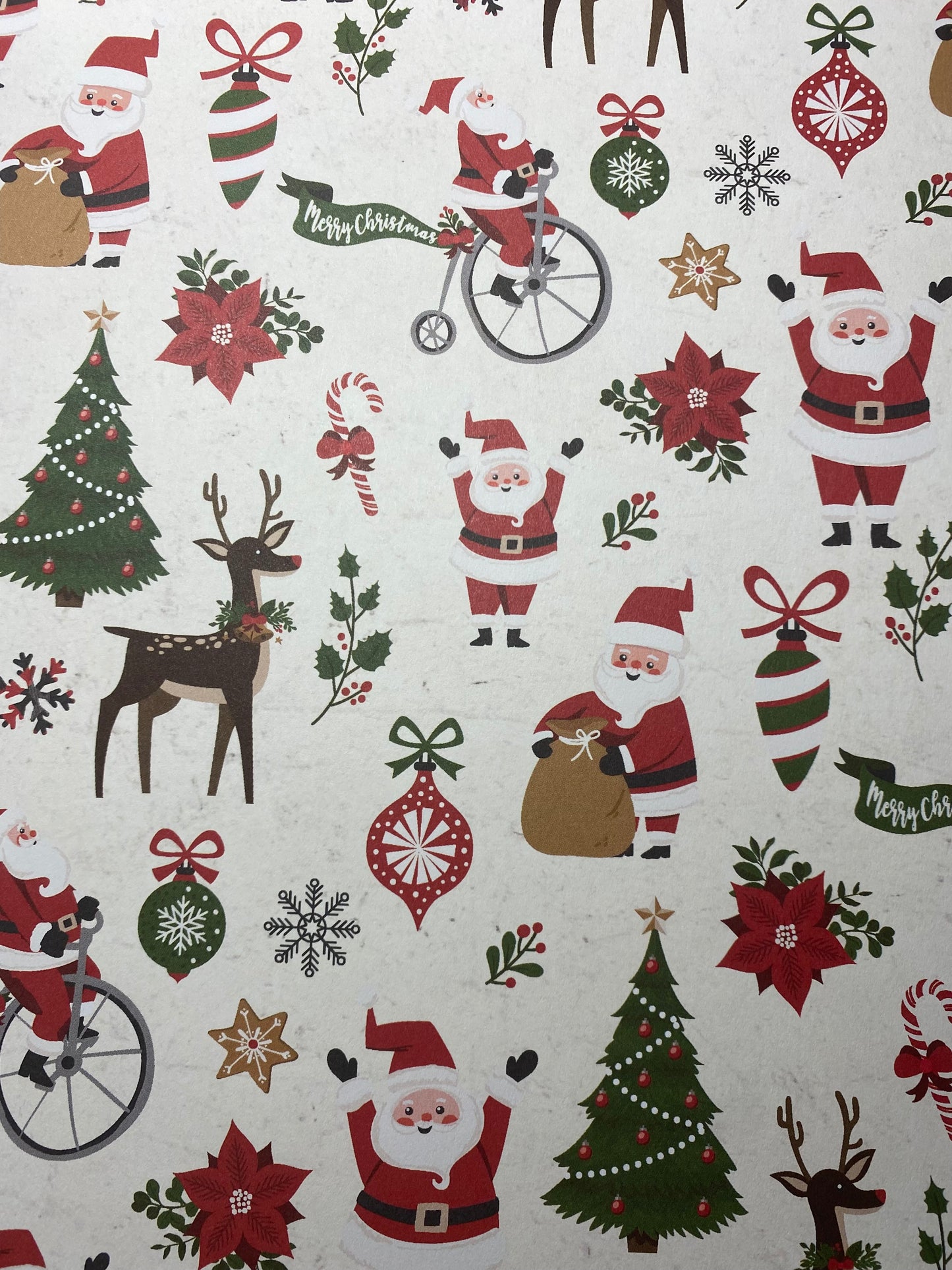 Monthly Book NAVIDEÑO