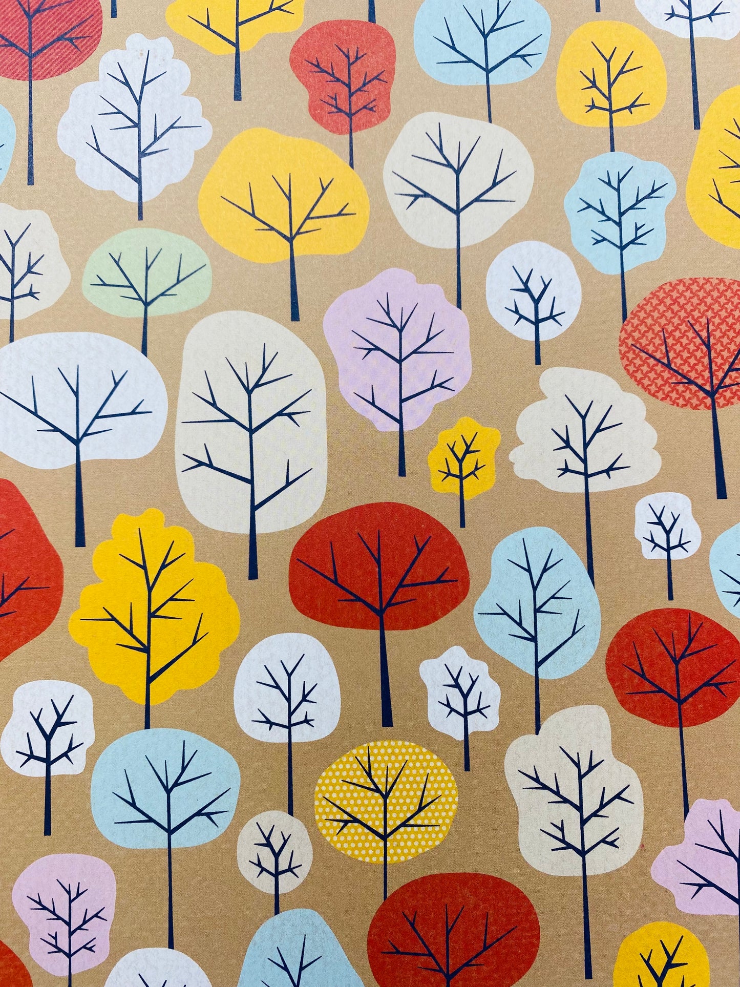 Otoño 1