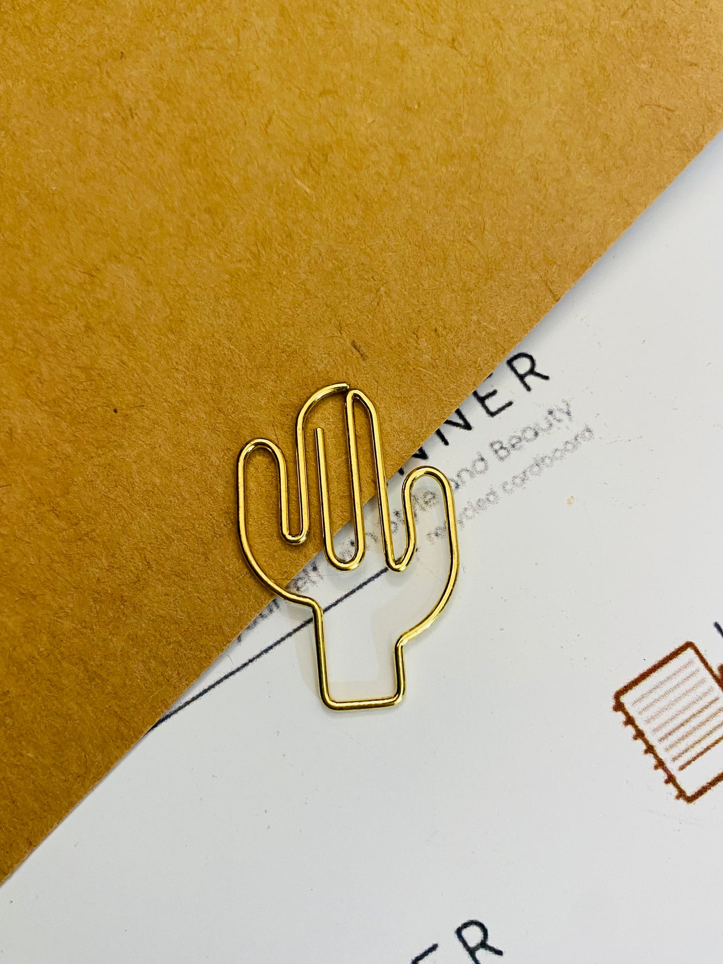 CACTUS Paper Clips