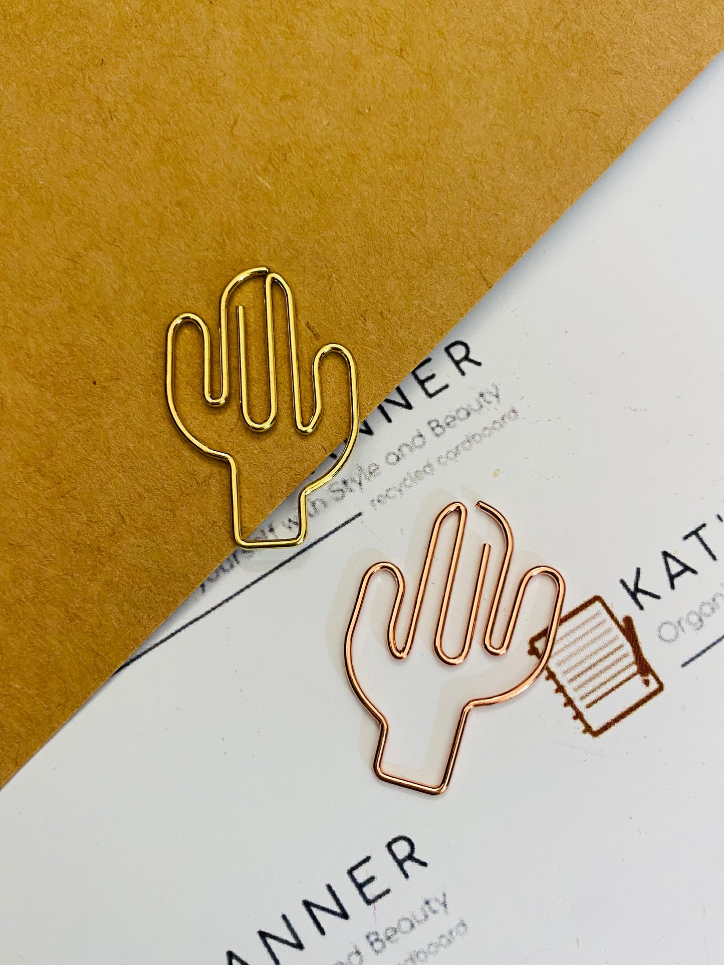 CACTUS Paper Clips