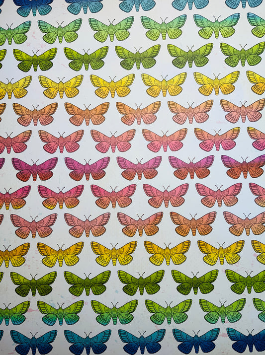 Mariposas 2