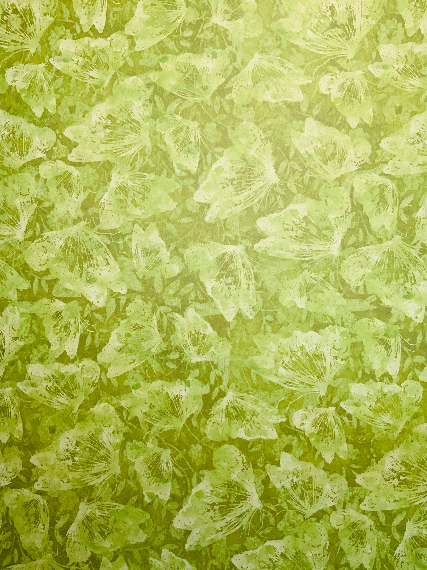 Mariposas 12