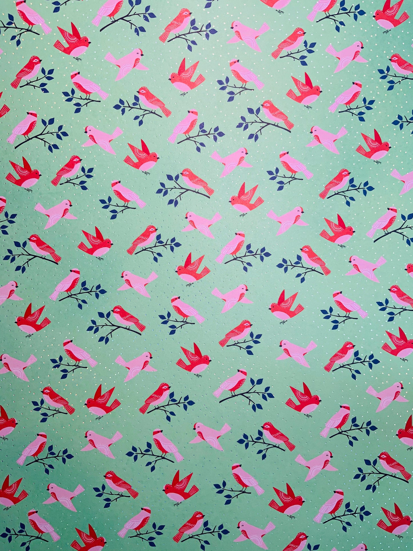 Pájaros  2